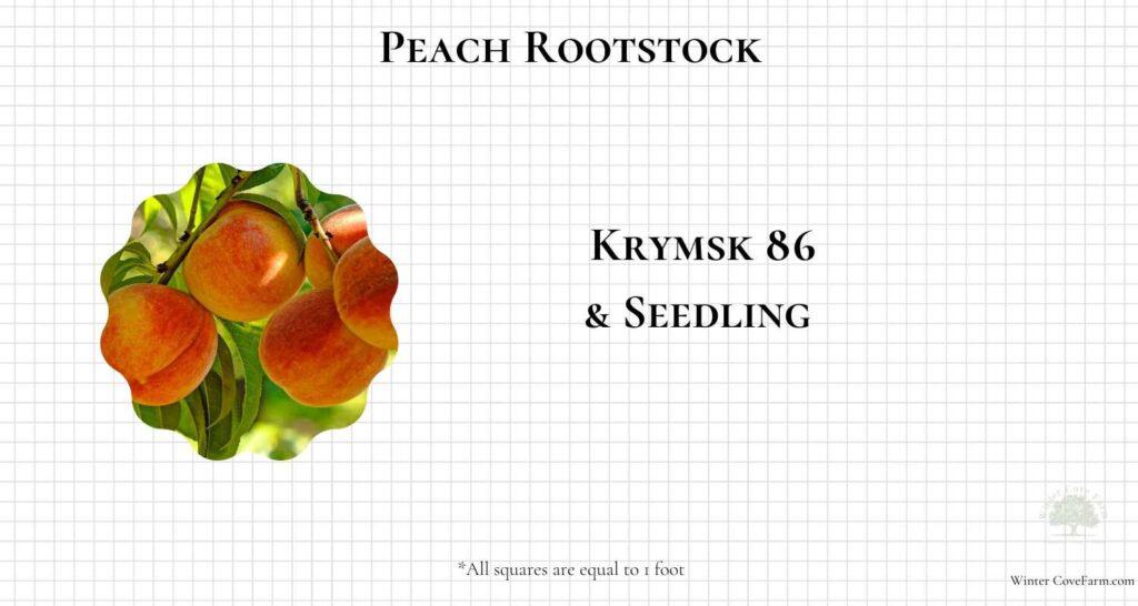 Peach Rootstock Size Grid-3