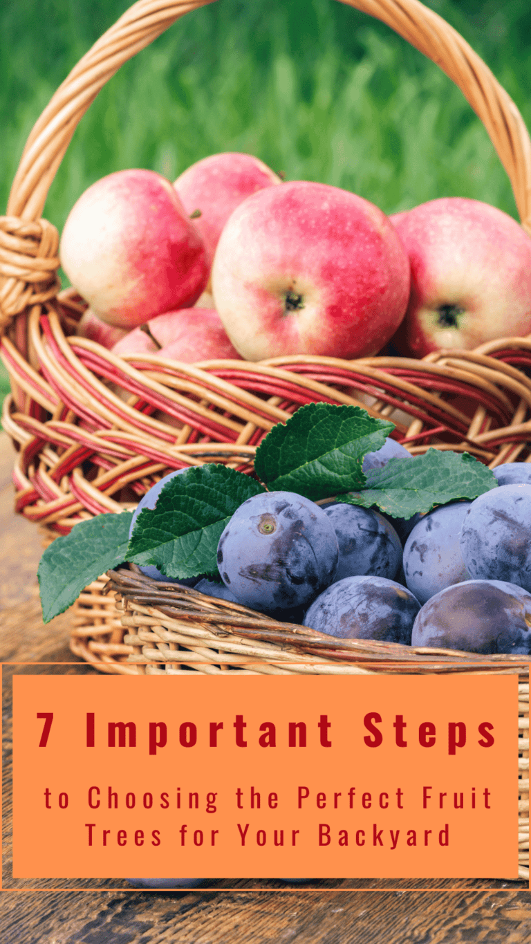 Seven Steps to Choosing the Perfect Fruit Trees for Your Backyard